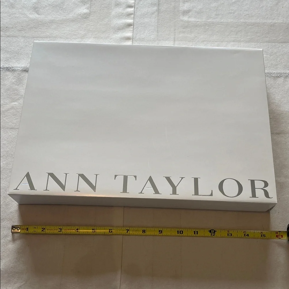 Ann Taylor Gift Shopping Box